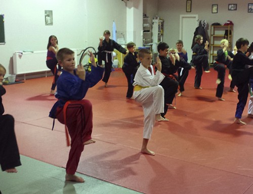 Kindertraining im Koshokun Kampfkunstzentrum